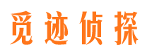 师宗私家调查公司